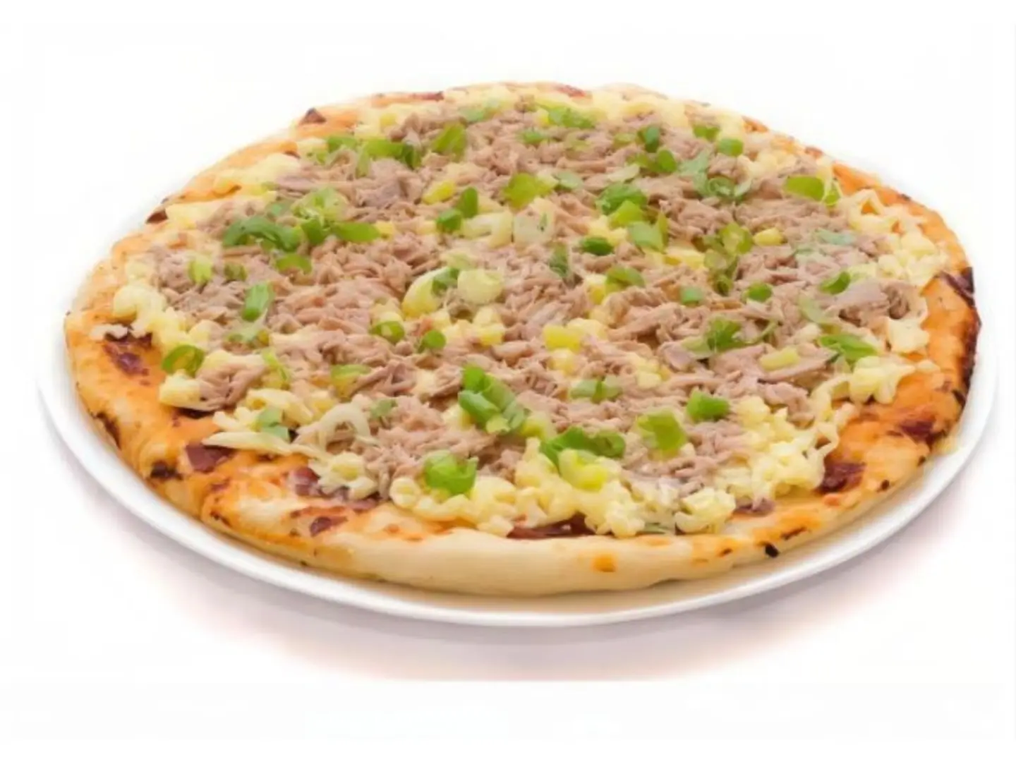 Tuna Pizza Box - Small