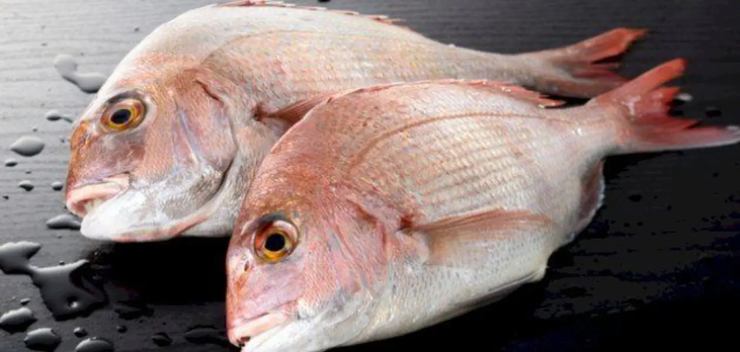 Coral - Half A Kilo