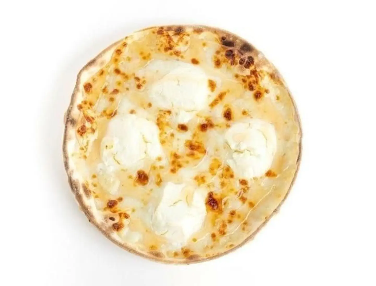 Special Ash Albulbul Pizza - Medium