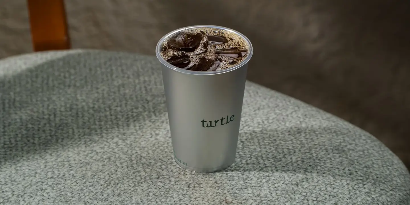 Turtle cover