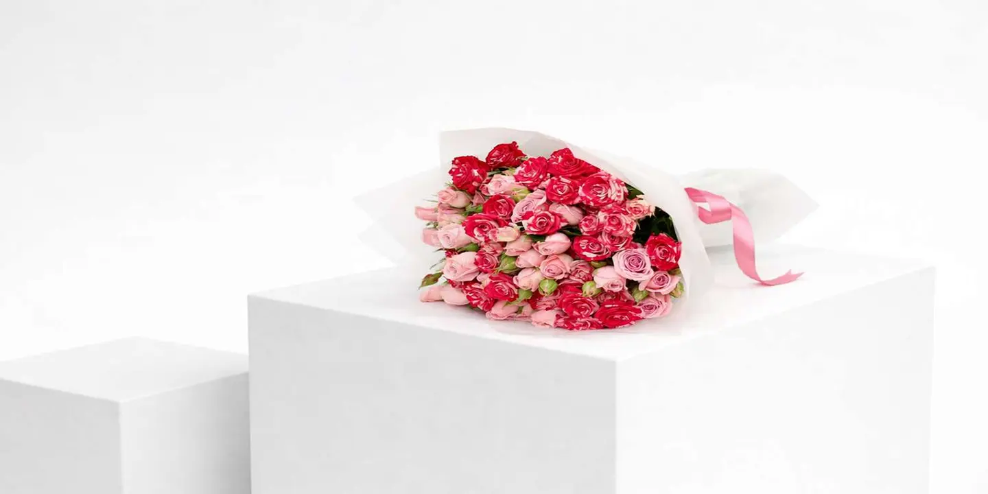 هابي روز cover