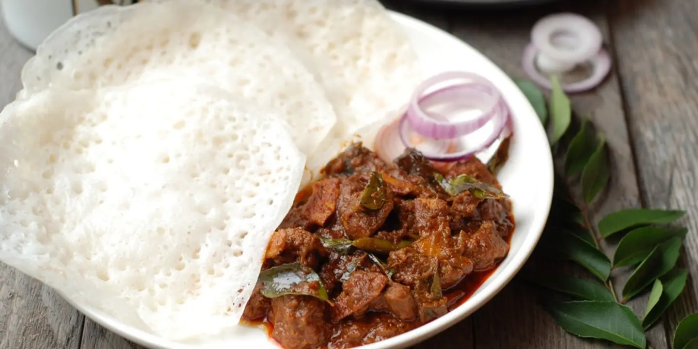 هني شيلي cover