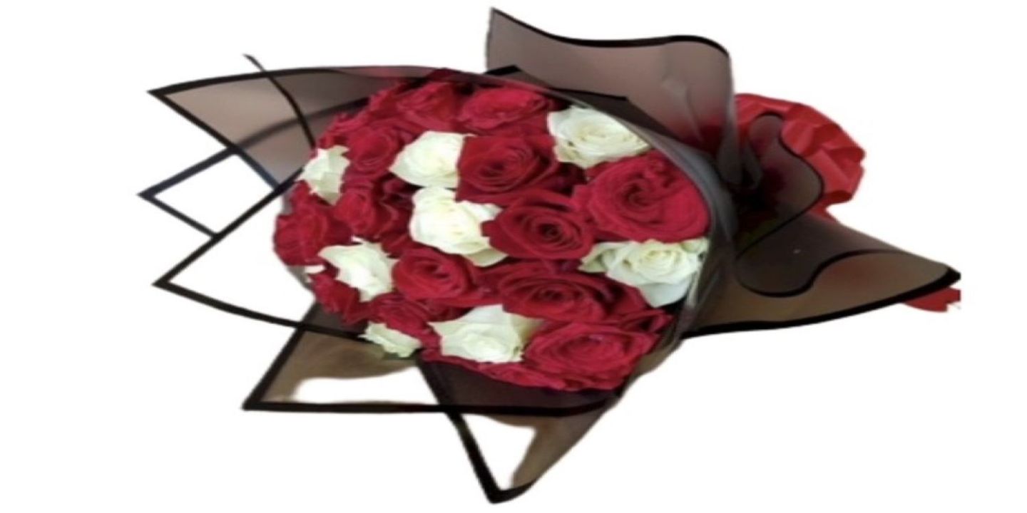 حدود الإحتراف cover