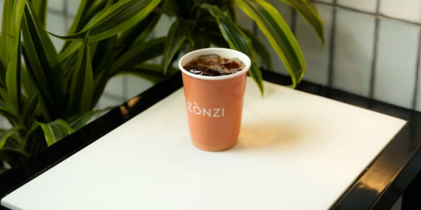 Zonzi cover