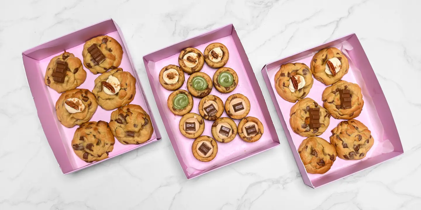 Calathea and more cover