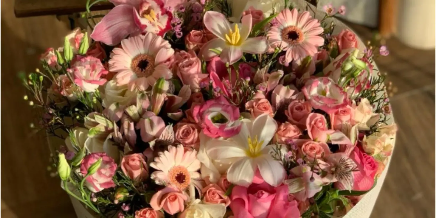 شتلة وزهرة cover