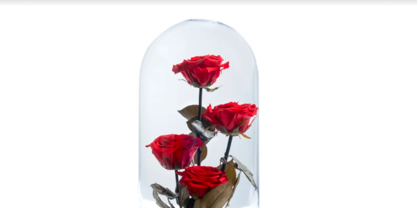 إلوبا cover