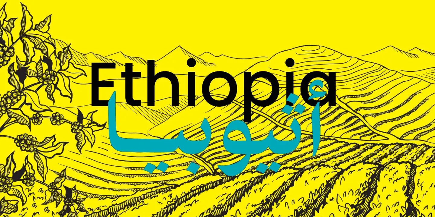 يلو بايك cover
