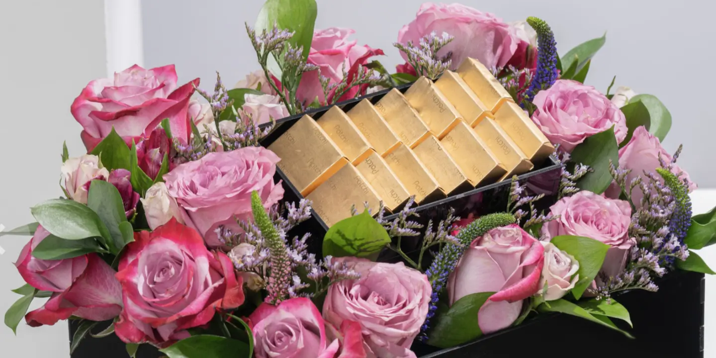 ساس فلور cover