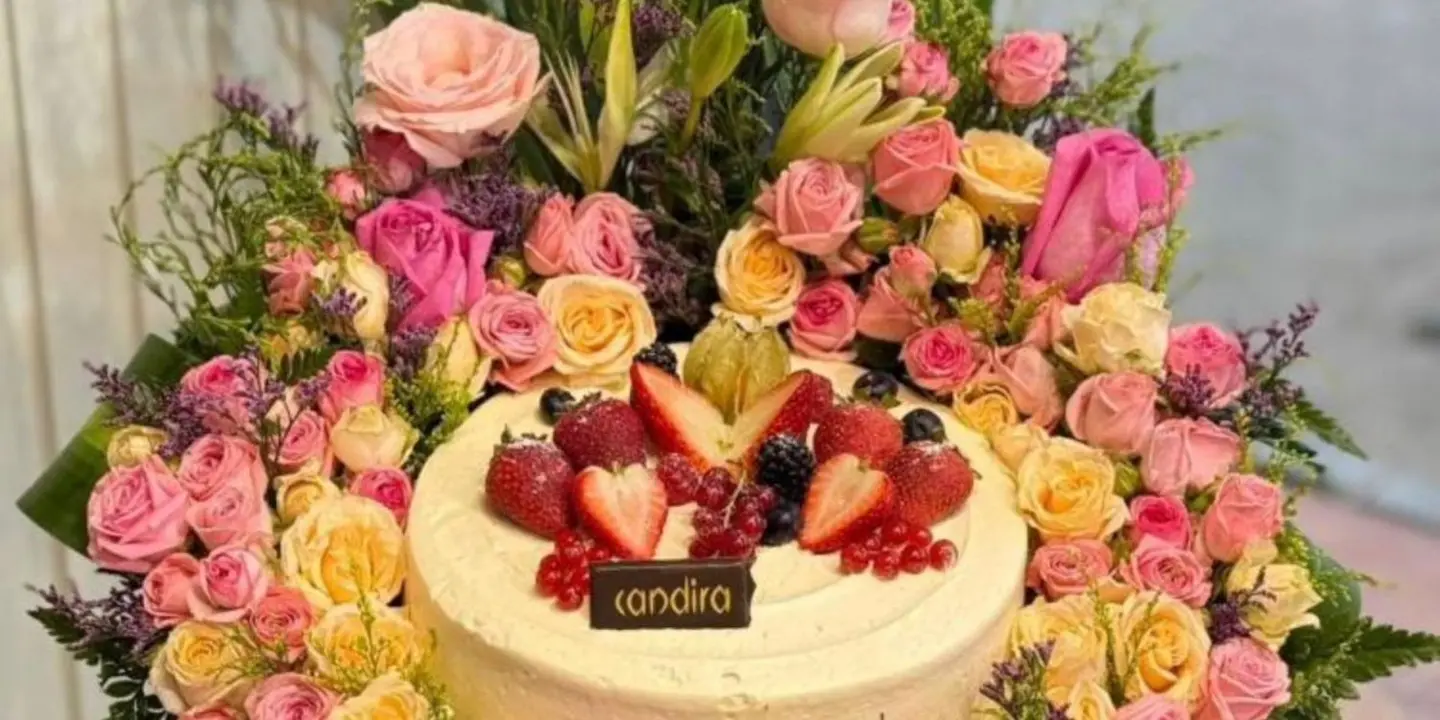 بيت الحفلة cover