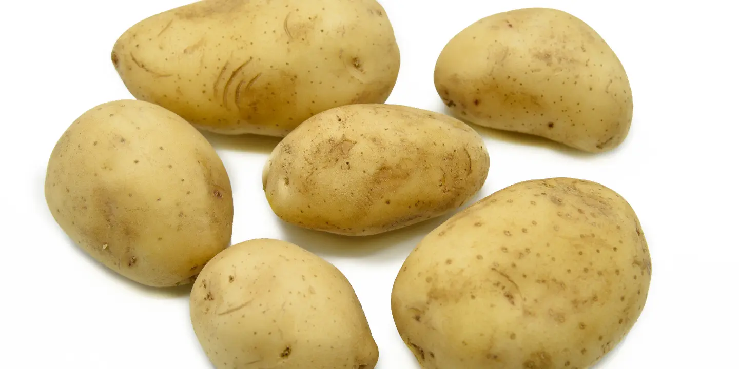 اثمار الخبر cover