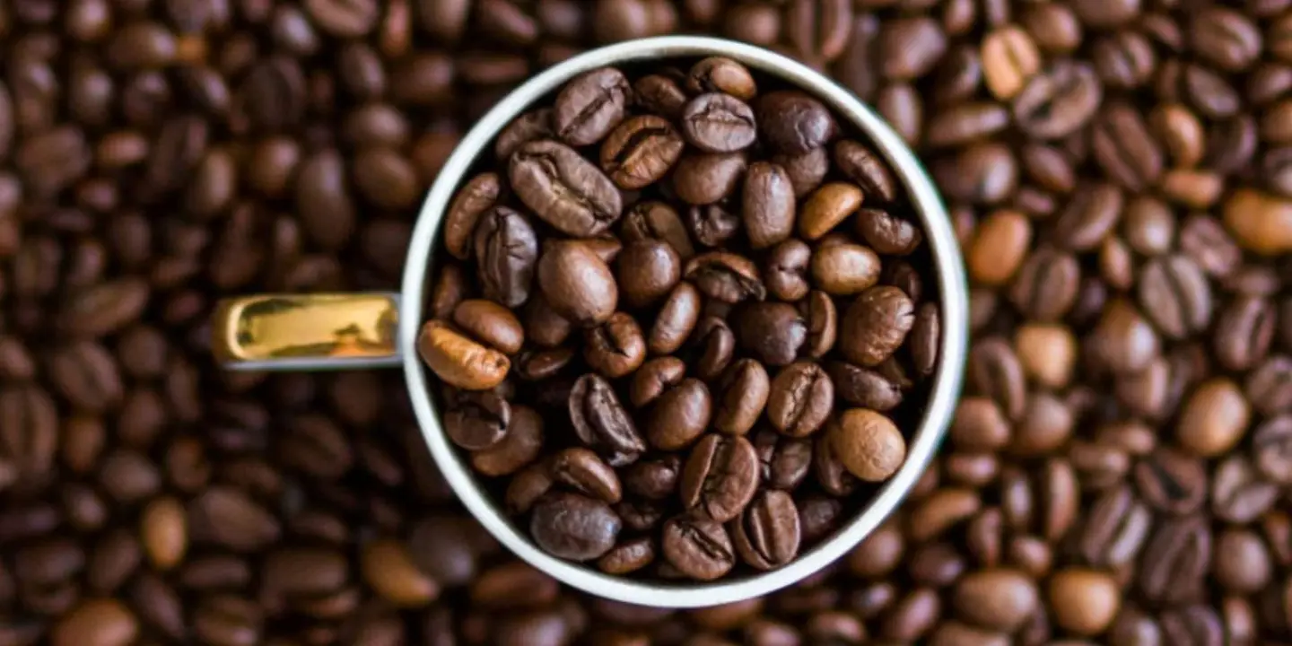 Al Mazrui Dates cover