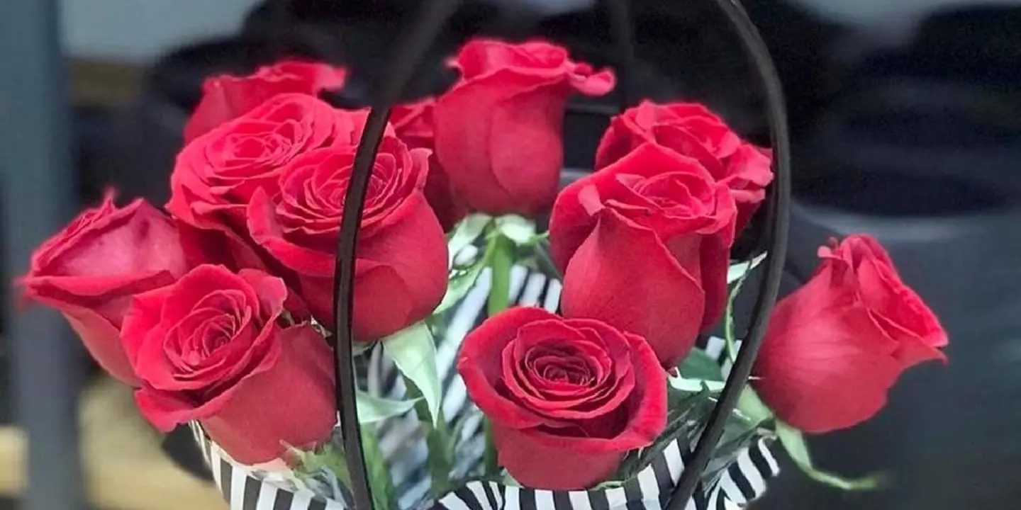 Gift & Flower Bouquet cover