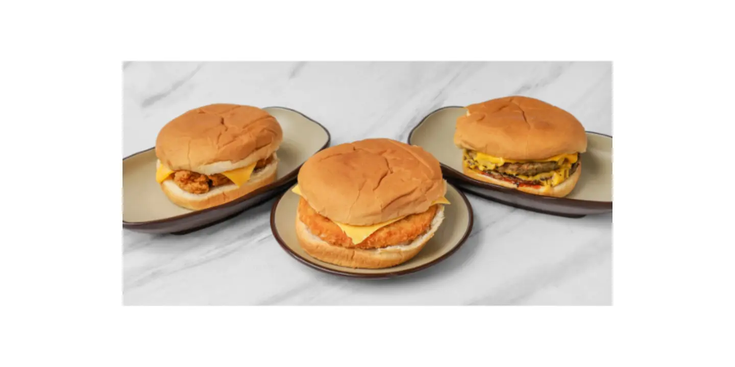 Watani Burger cover