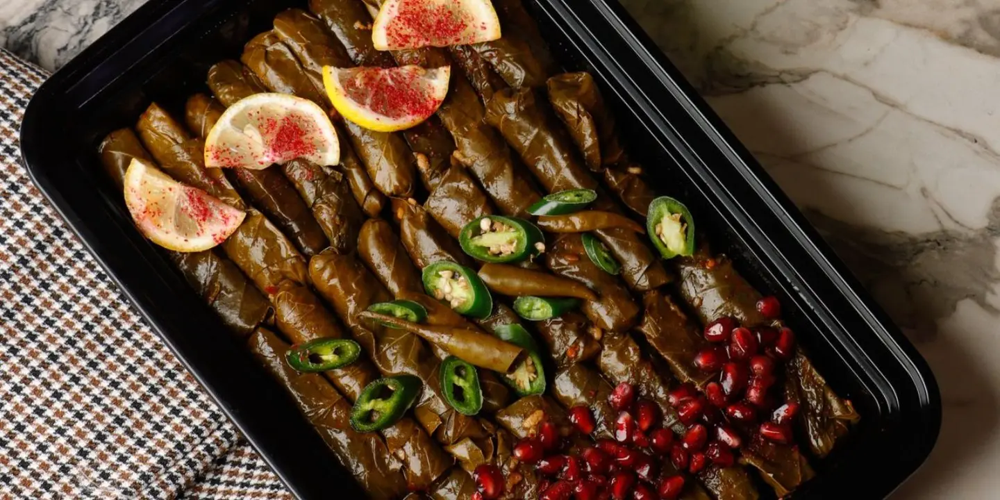 بدر الدجى cover