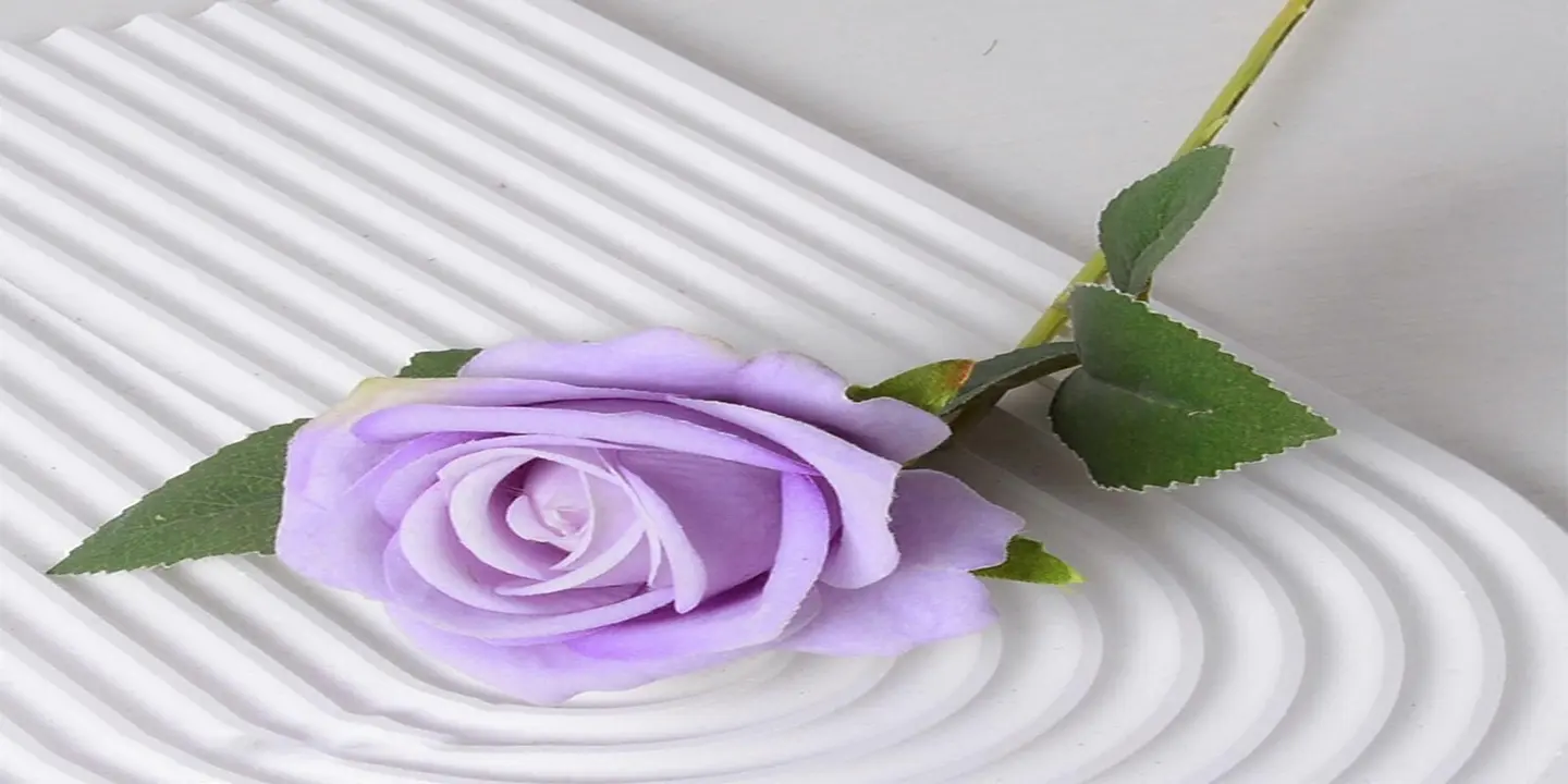 زهرة أورال cover