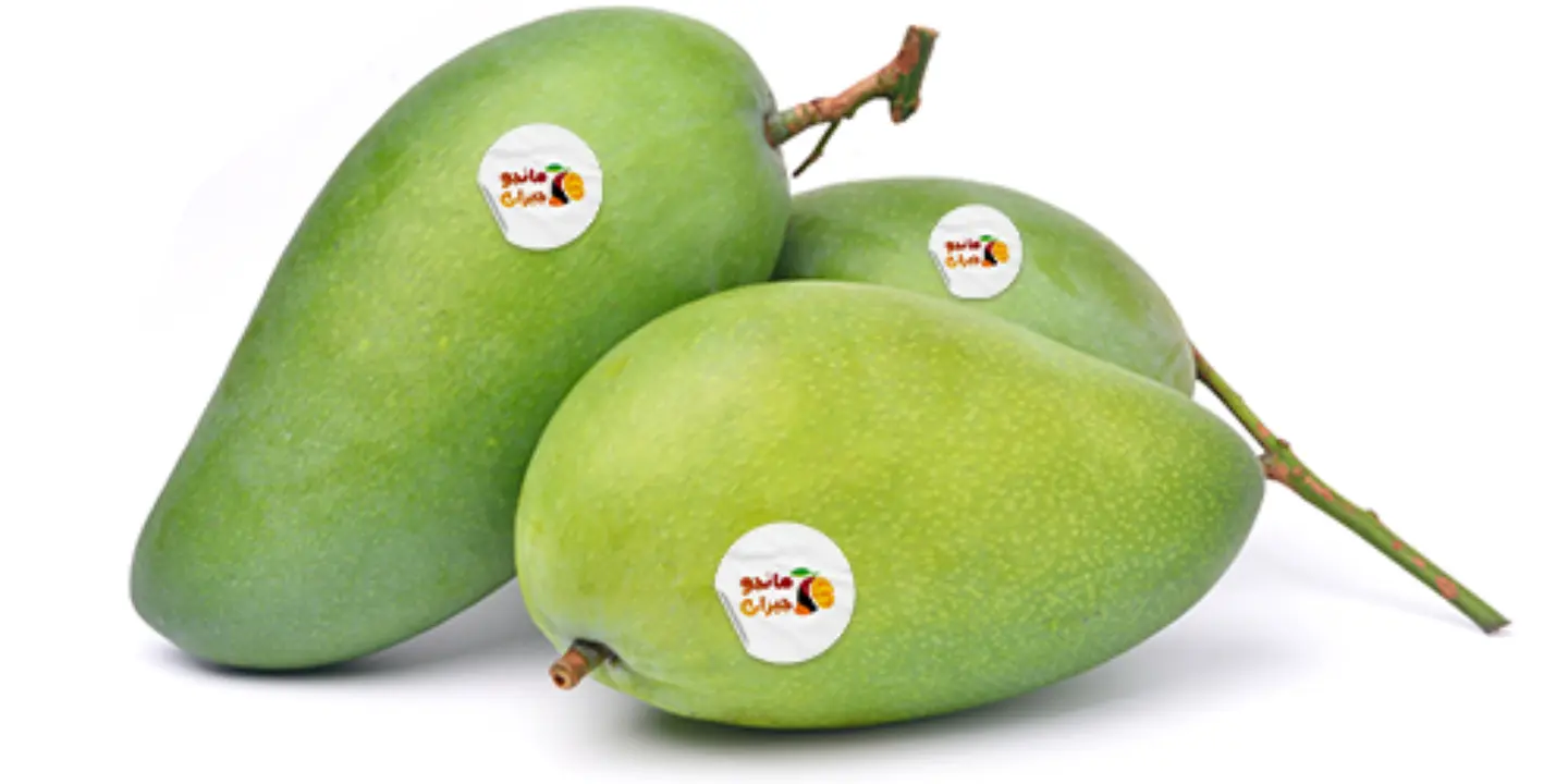 Mango Jizan cover