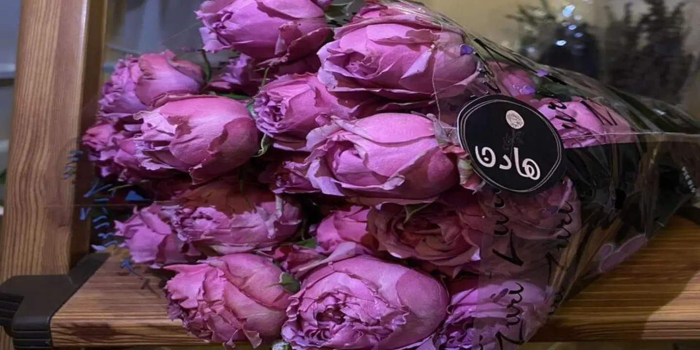 هادن فولر cover