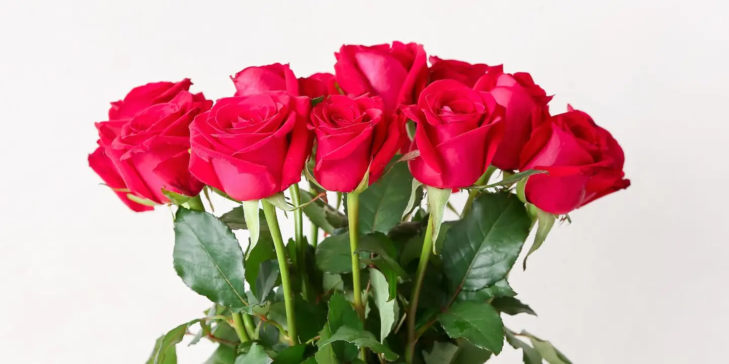 صناع الذكريات  cover