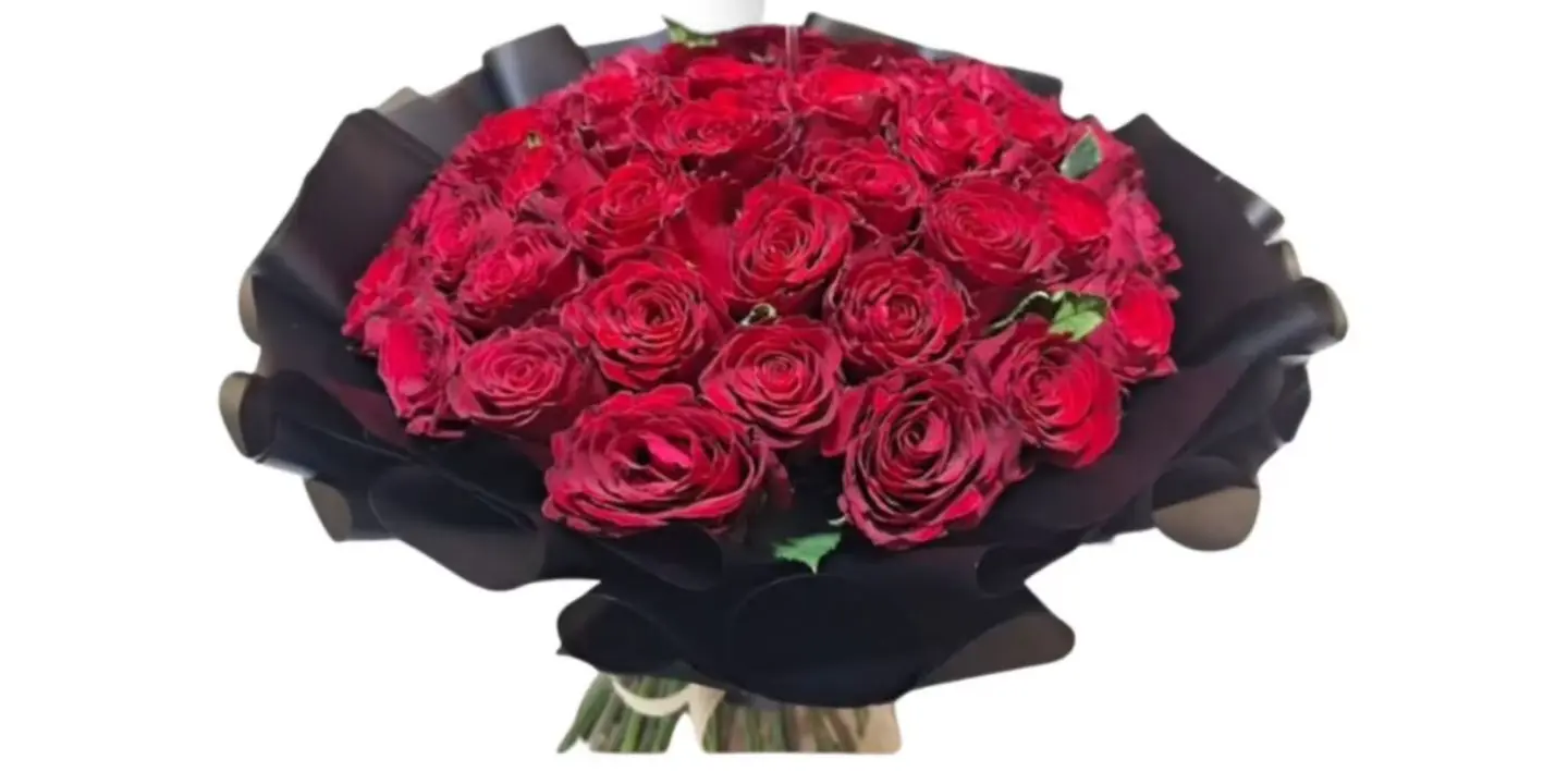 تيفاف cover
