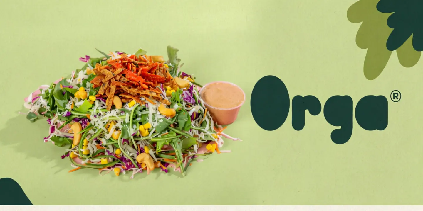 Orga cover