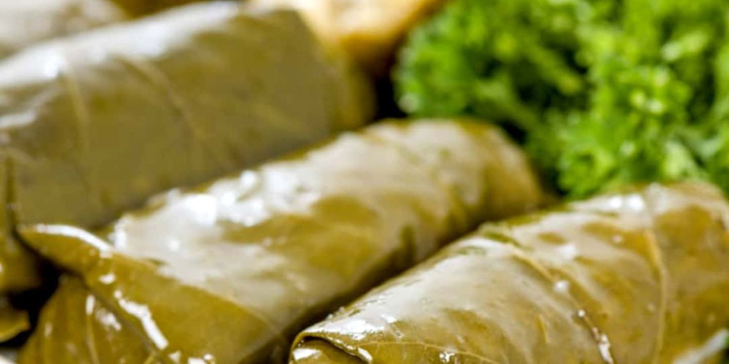 حديقة العنب cover