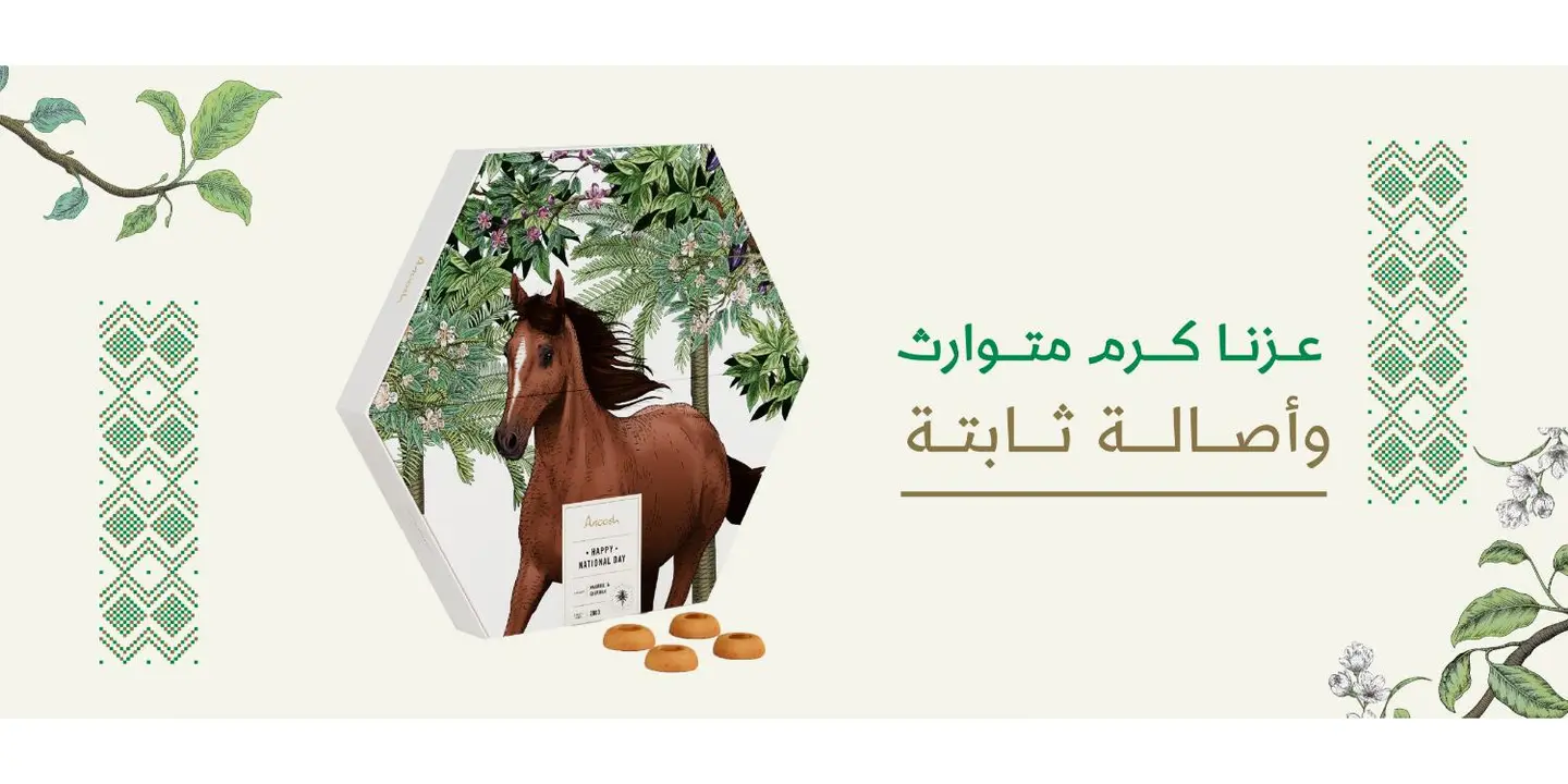 Anoosh cover