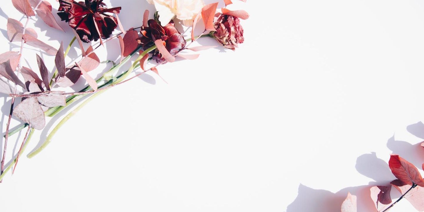 عنوان الهدية cover