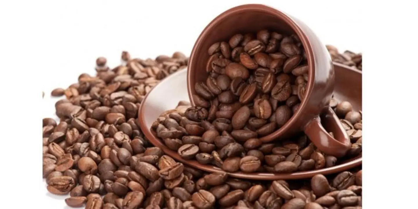البستان cover
