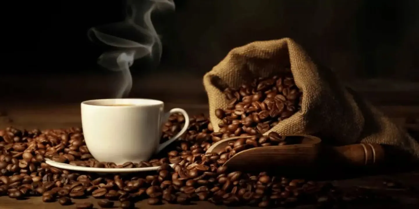 باكر cover