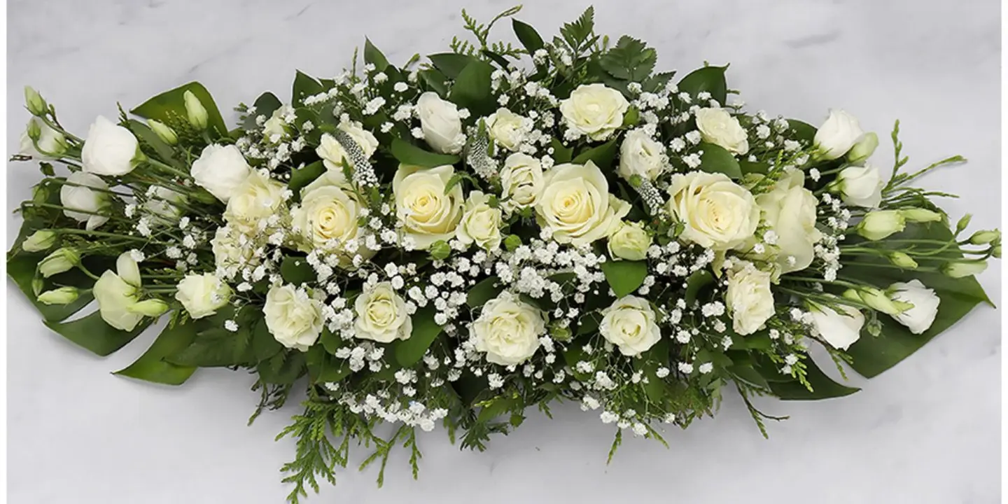 فرحة عمري cover