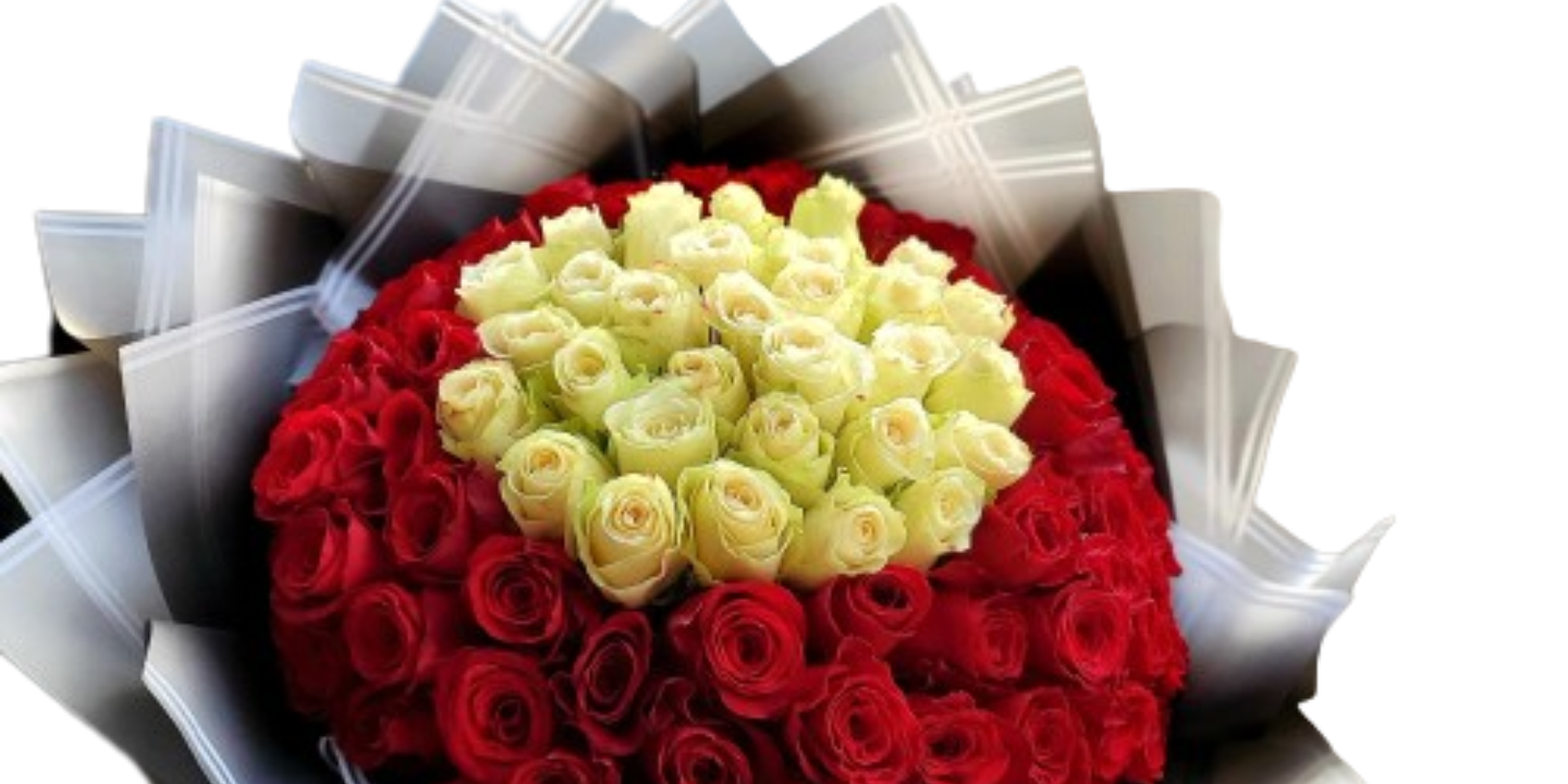 بيوني cover