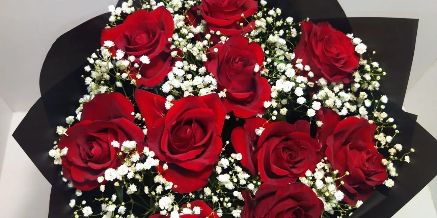 ردهة زهر cover