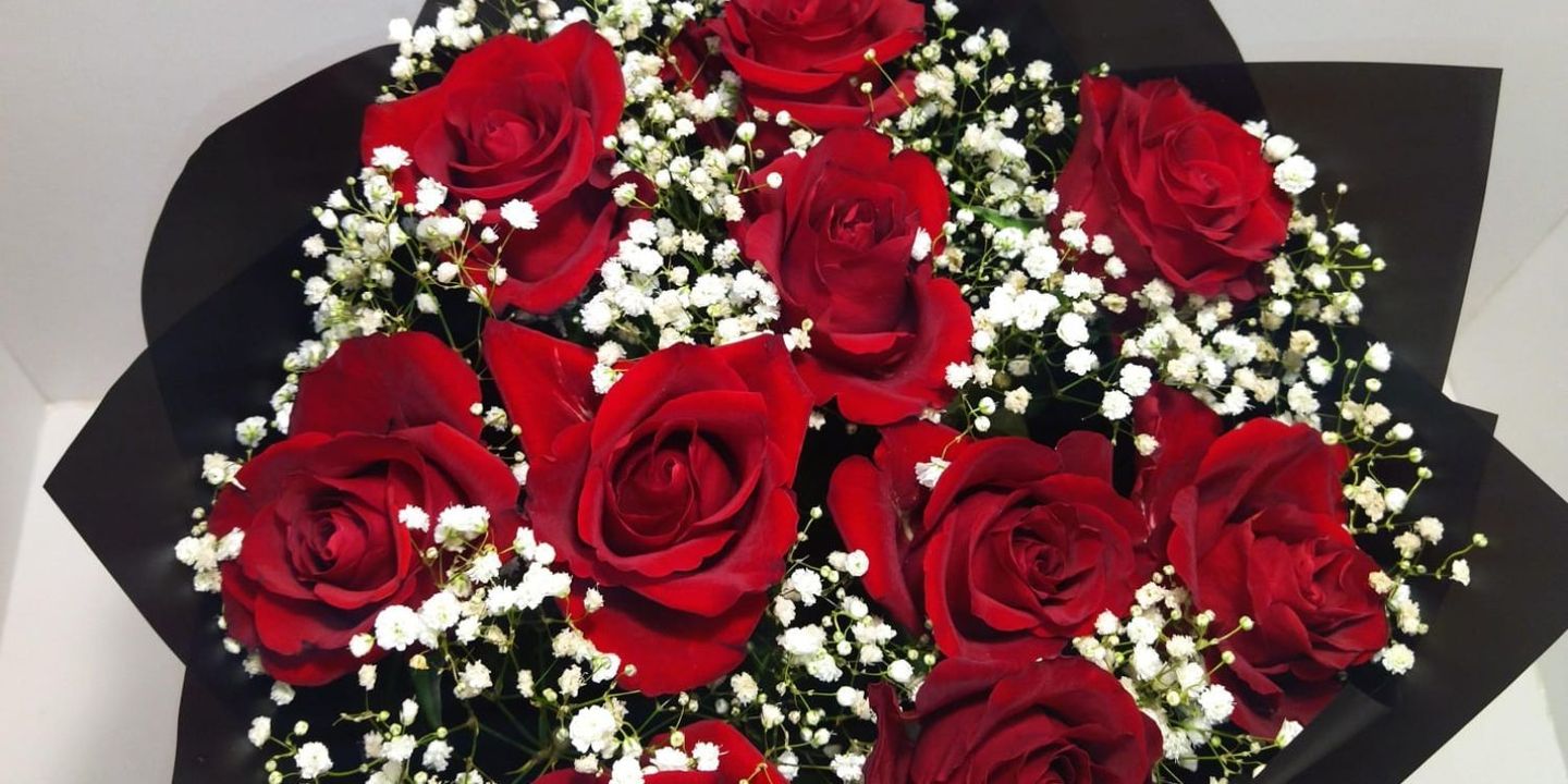 Juliet Rose cover