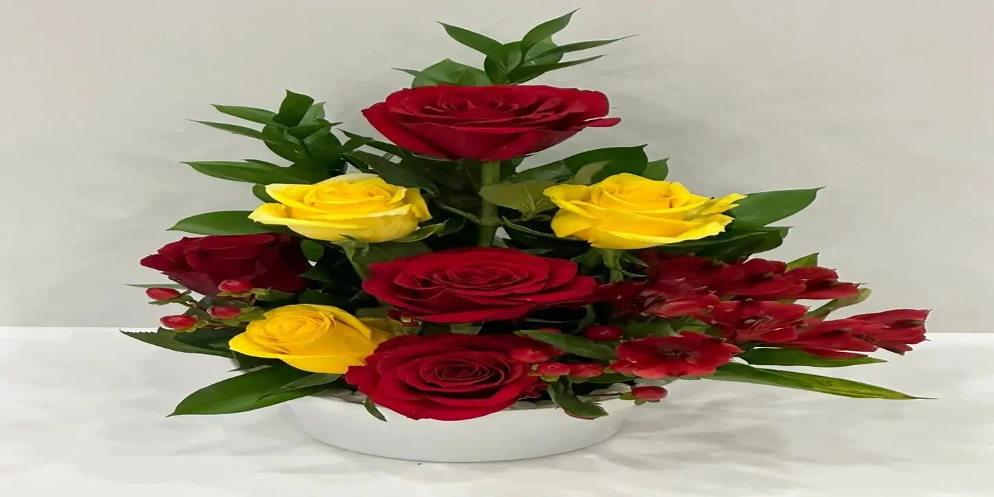 زهور مدهام  cover