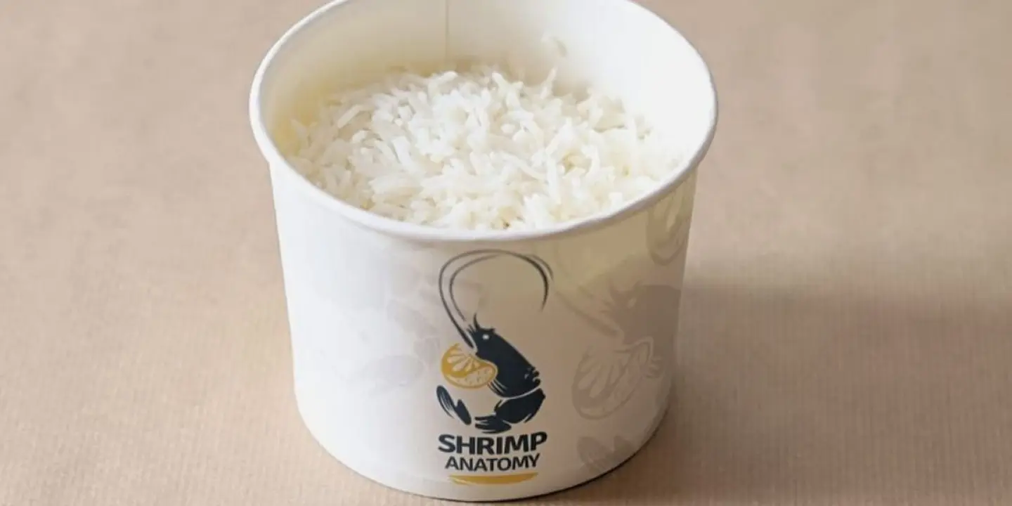 شرمب اناتومي‎ cover