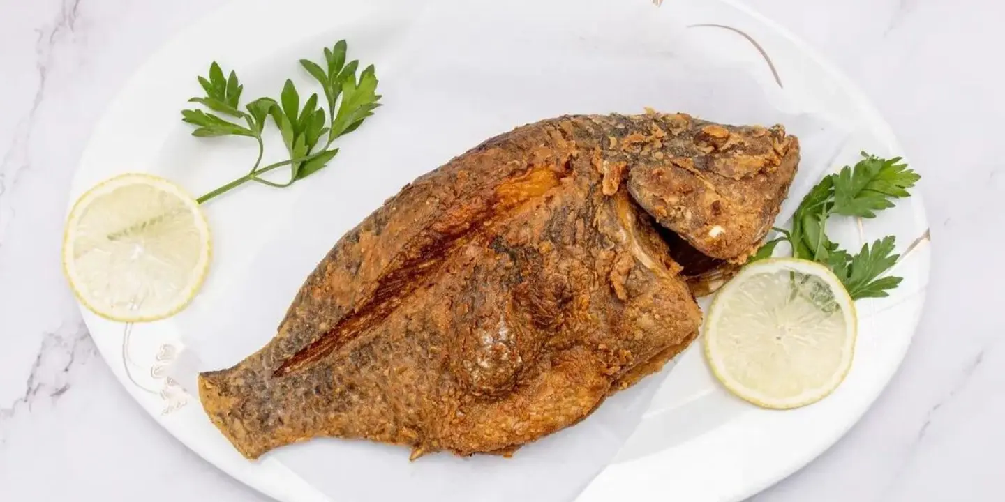 اسماك البحر cover