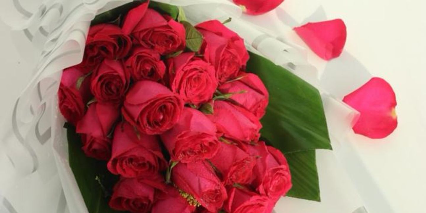 هلا ورد cover