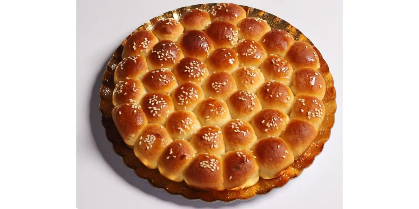 خلية بشرى cover