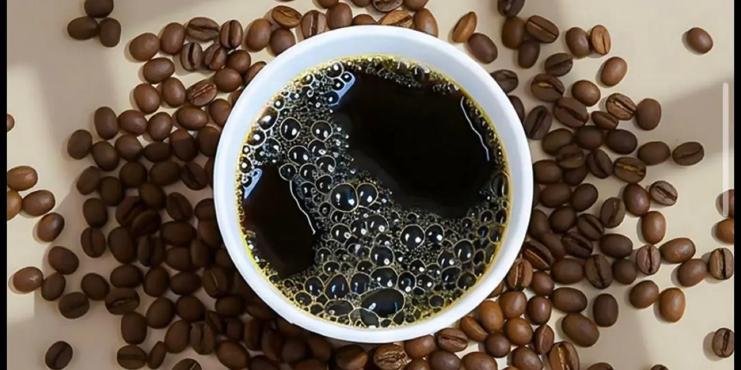 Sal coffee cover