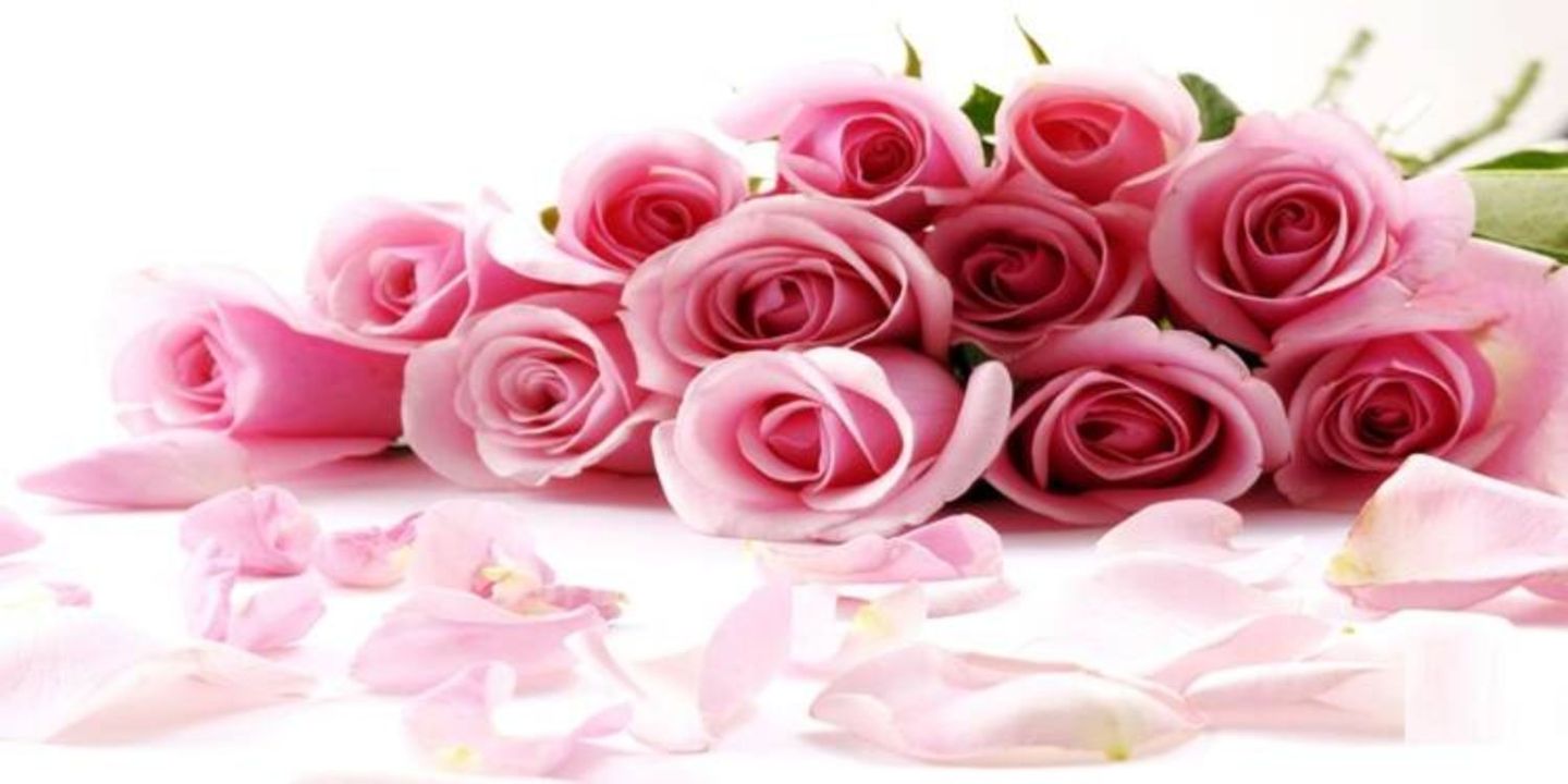 هدية زهر cover