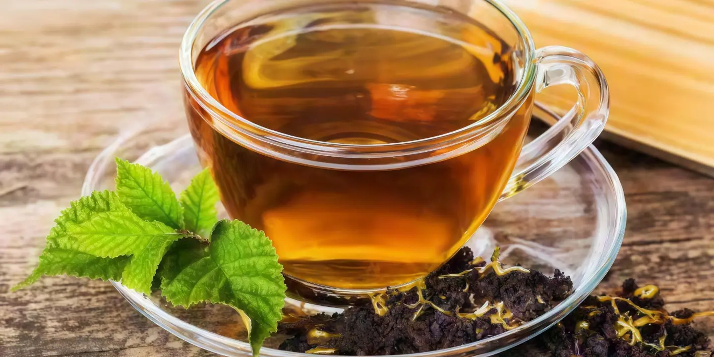 شاي طنخة cover