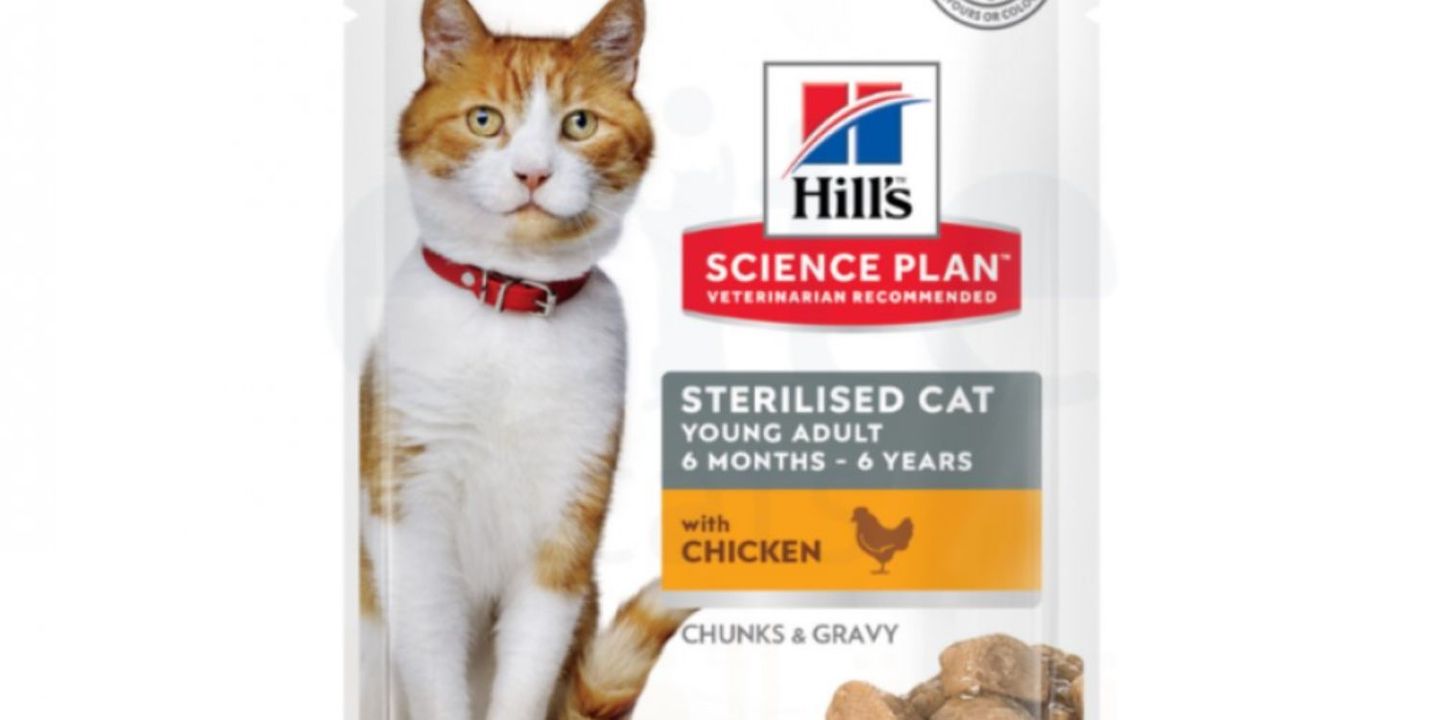 Golden cats cover