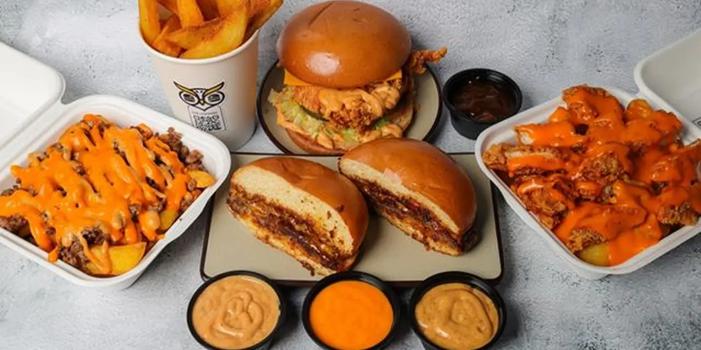 Owl burger cover
