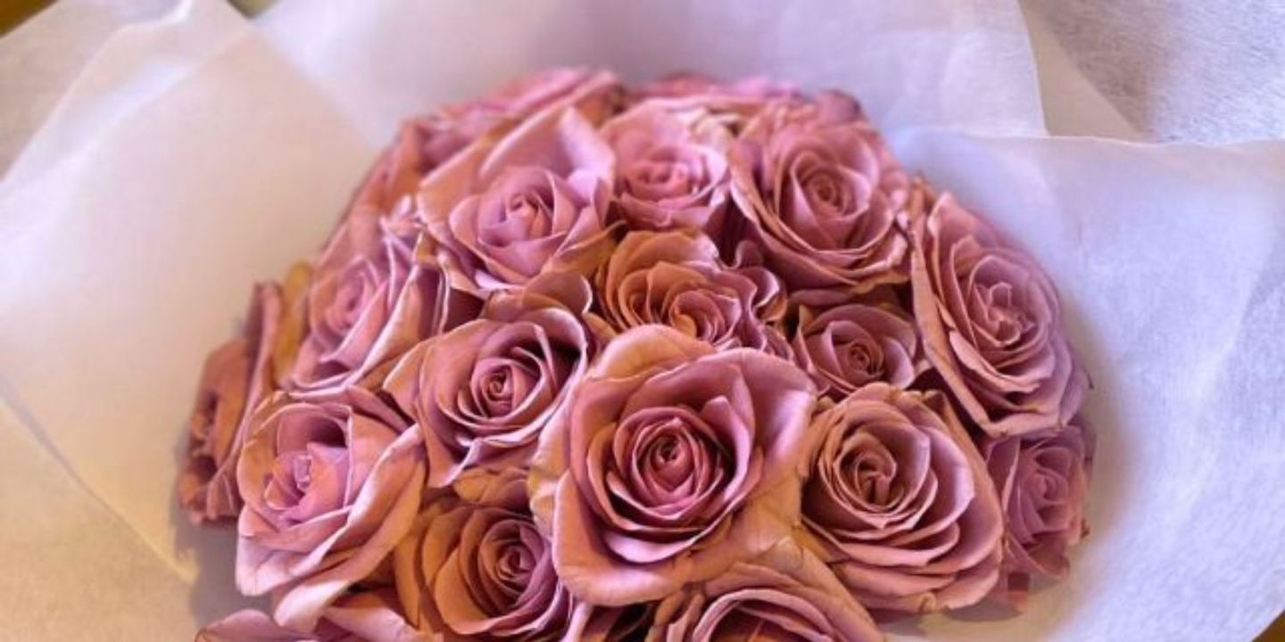 صندوق الأزهار cover