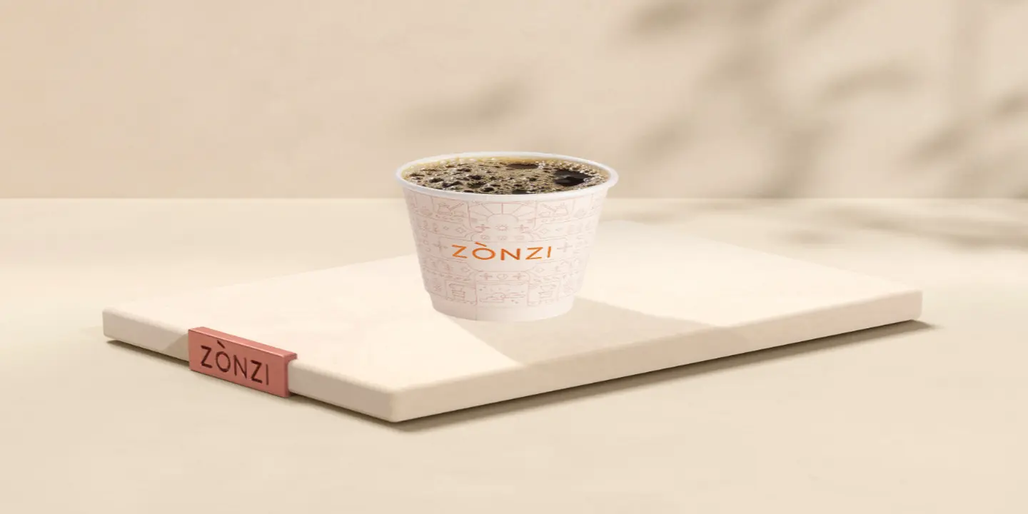 Zonzi cover