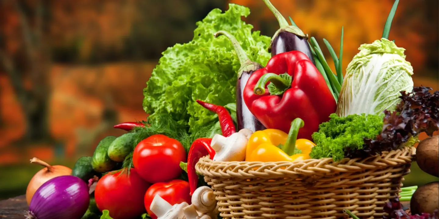Our country for vegetables and fruits cover