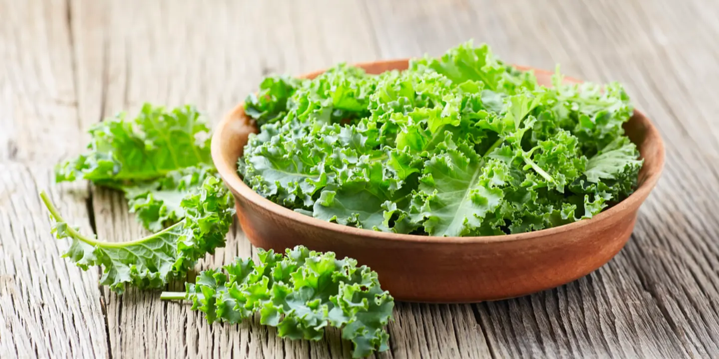 Fresh diet Restaurant cover