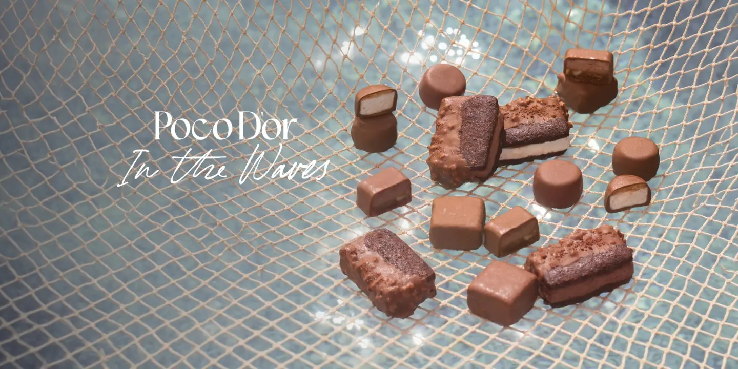 PocoDor cover