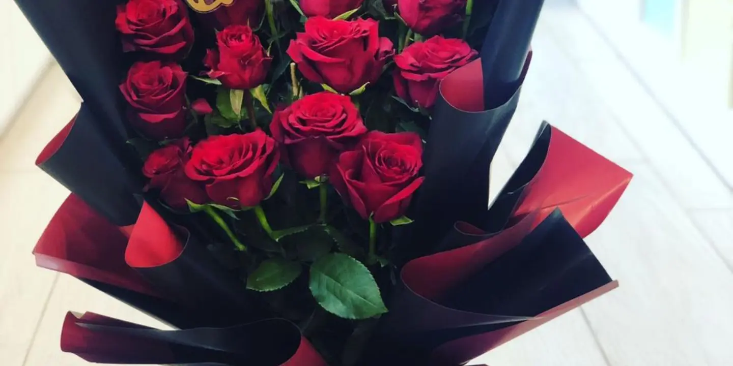 بوكس اند ريبون cover